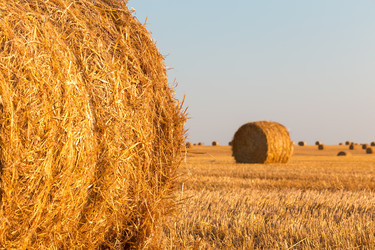 Similar image 21071791