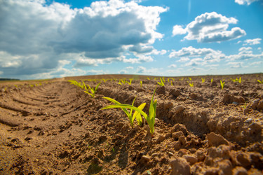 Similar image 21072990