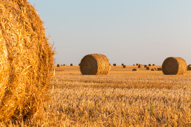 Similar image 21072992