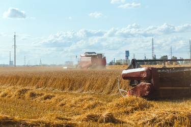 Similar image 21073002