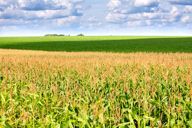 Similar image 21073007