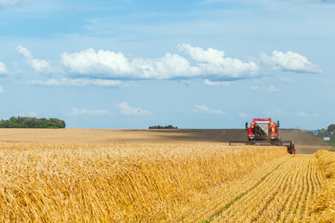 Similar image 21073915