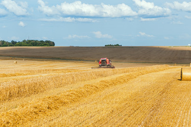 Similar image 21074033