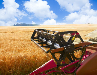 Similar image 21074038