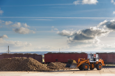 Similar image 21074155