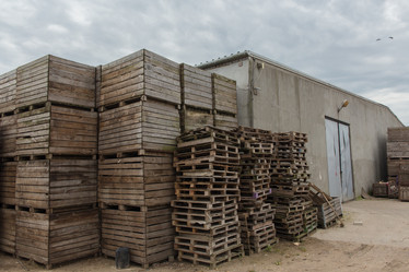 Similar image 21074156