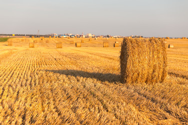 Similar image 21074159