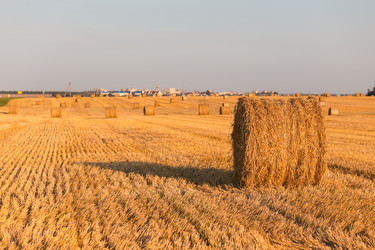 Similar image 21074160