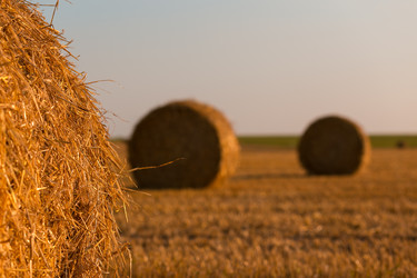 Similar image 21074163