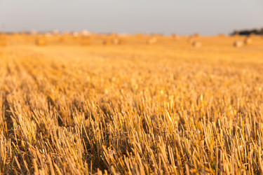 Similar image 21074167