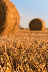 Similar image 21074329