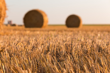 Similar image 21074331