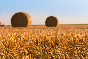 Similar image 21074333