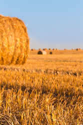 Similar image 21074335