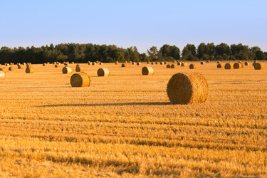 Similar image 21074337