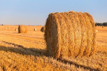 Similar image 21074386