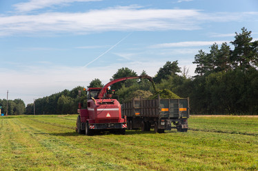 Similar image 21074398