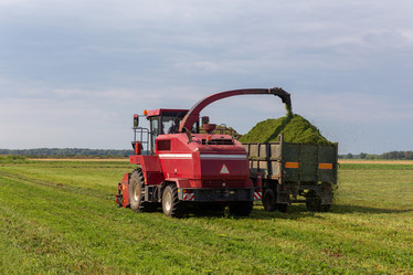 Similar image 21074403