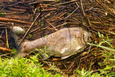 Similar image 21074414