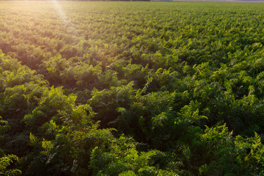 Similar image 21074458