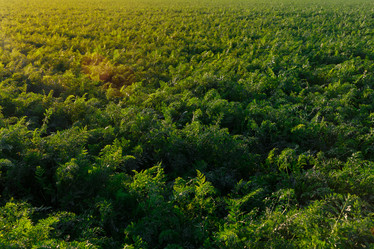 Similar image 21074461