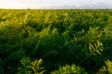 Similar image 21074463