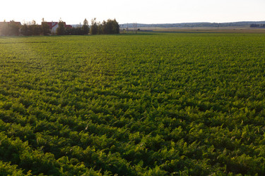 Similar image 21074465