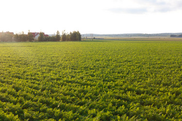 Similar image 21074467