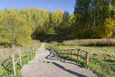 Similar image 21049215