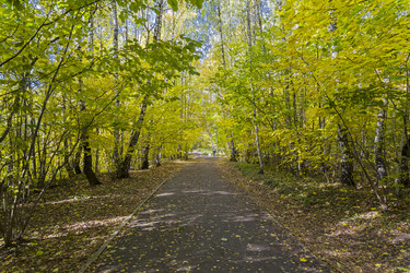 Similar image 21049216