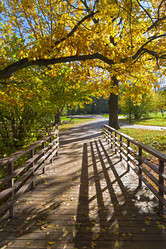 Similar image 21049220