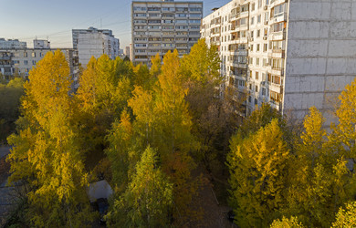 Similar image 21070203