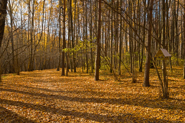 Similar image 21049227