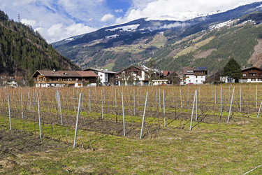 Similar image 21049238