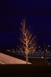 Similar image 21049251