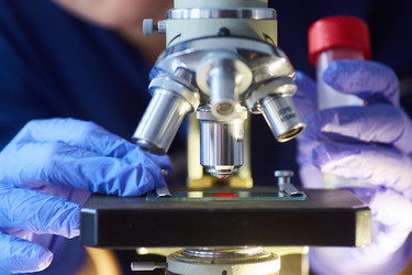 Similar image 21049264