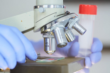 Similar image 21049265