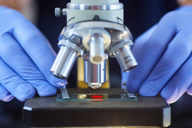 Similar image 21049277