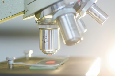 Similar image 21049731