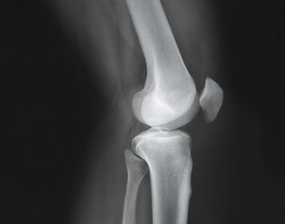 Similar image 21049744