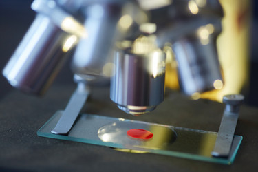 Similar image 21049752