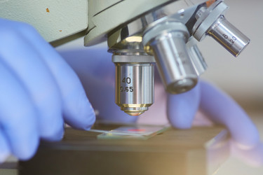 Similar image 21049753