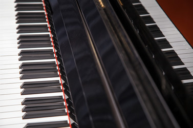 Similar image 21055036