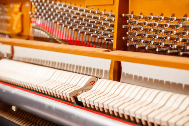 Similar image 21055038