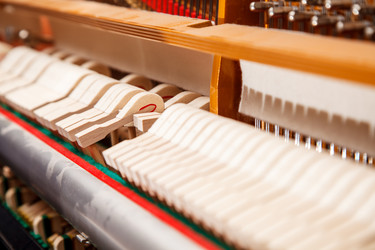 Similar image 21055039