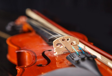 Similar image 21055043