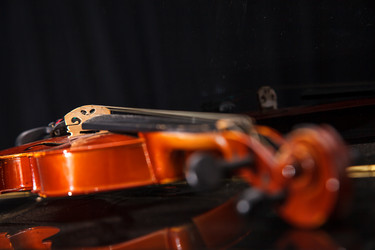 Similar image 21055045