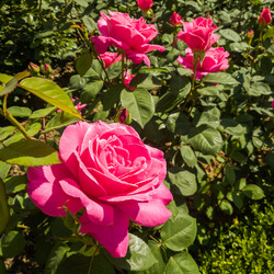 Similar image 21049284