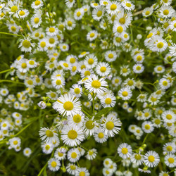 Similar image 21049286