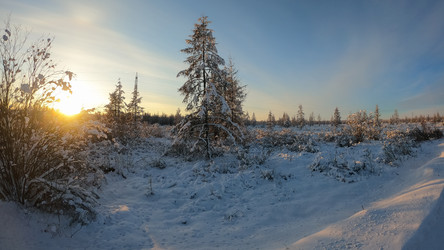 Similar image 21049289